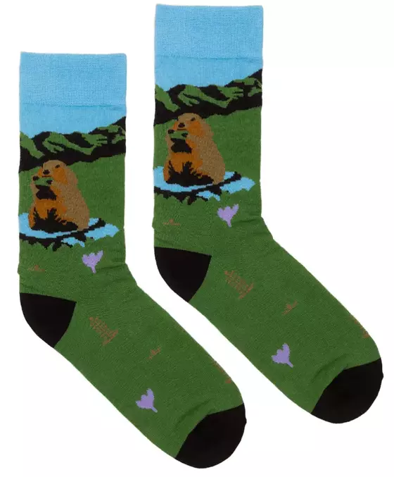 Organic Socken Murmeltier