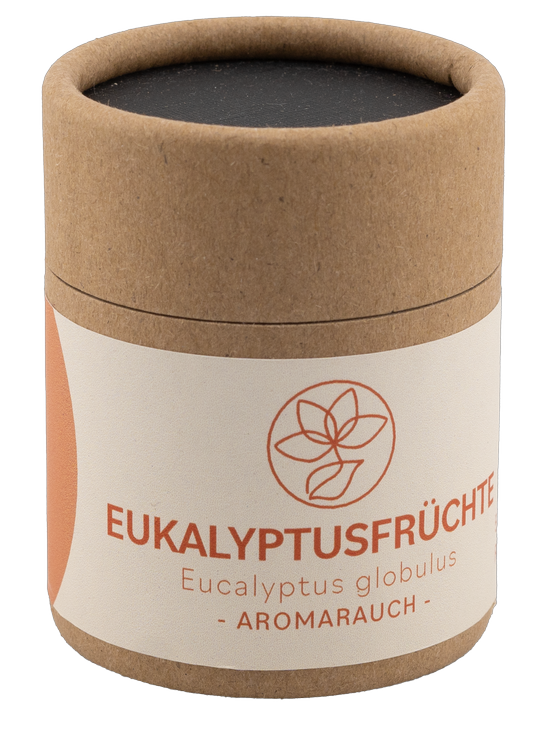 Eukalyptusfrüchte