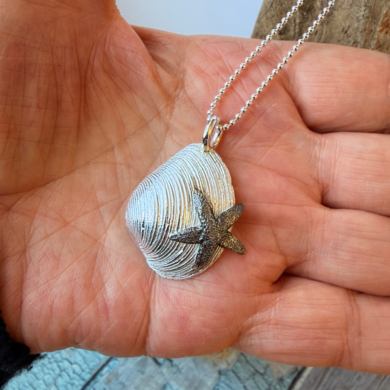 anhaenger:silber_venusmuschel_ostsee