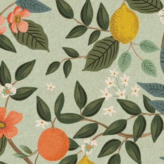 Cotton + Steel Canvas - Bramble -  Citrus Grove Mint Unbleached Canvas Fabric - Rifle Paper Co.