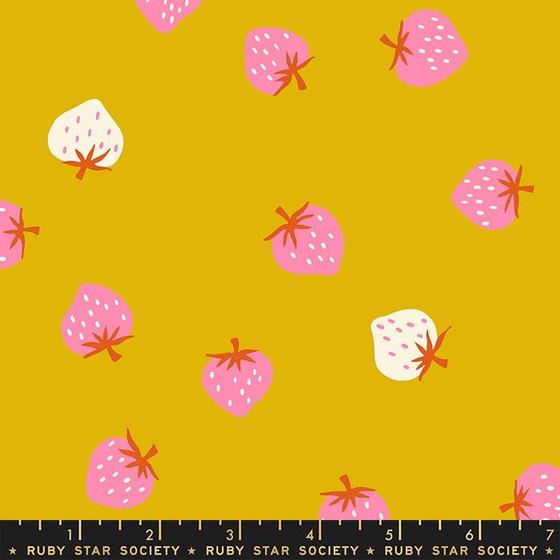 Picture book Ruby Star Society 
