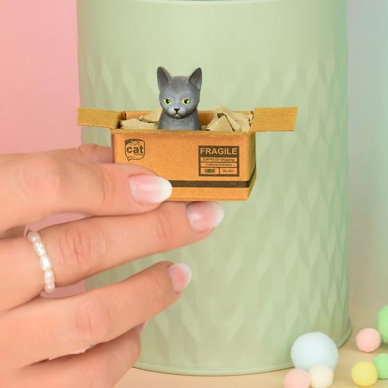 KATZENMUDDI Katze im Karton Magnet - grau