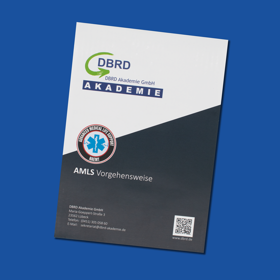 AMLS-Vorgehensweise-Front