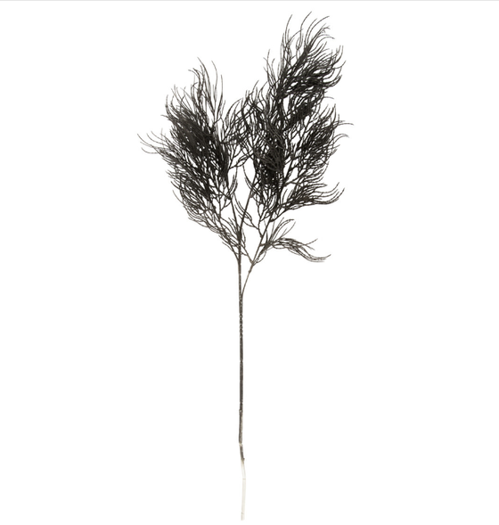Kunstpflanze | Künstlicher Asparagus Farn - Schwarz 