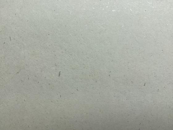 Gampi Papier mit Perlmuttstücken, 180g