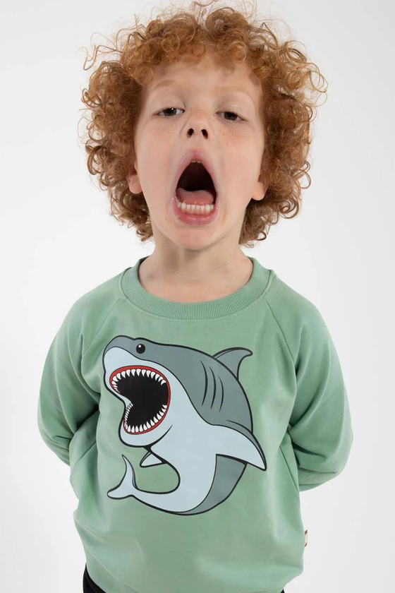 Sweatshirt "Hai", angeraut, Baumwolle