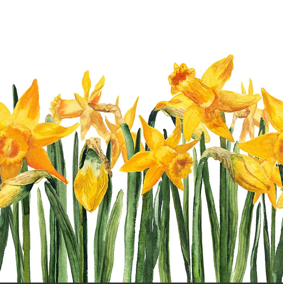 Serviette | Papier-/ Lunchserviette Bright Daffodils
