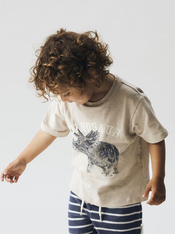 Name It T-Shirt Dinosaur Chateau Gray