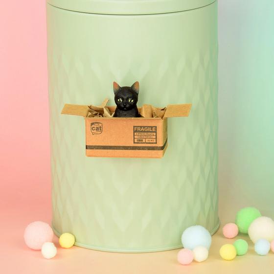 KATZENMUDDI Katze im Karton Magnet - schwarz