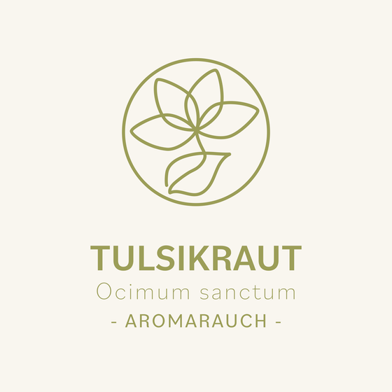 Tulsikraut