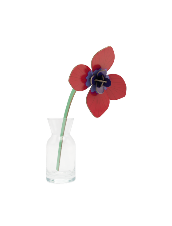 Studio Roof Red Anemone