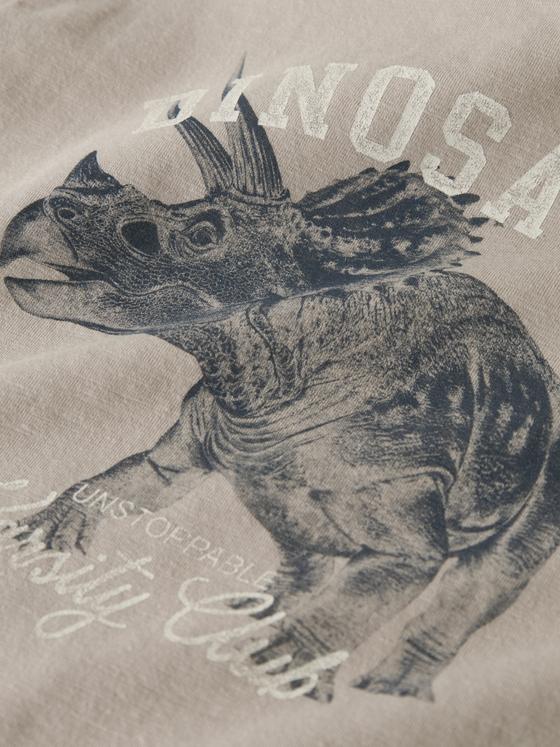 Name It T-Shirt Dinosaur Chateau Gray