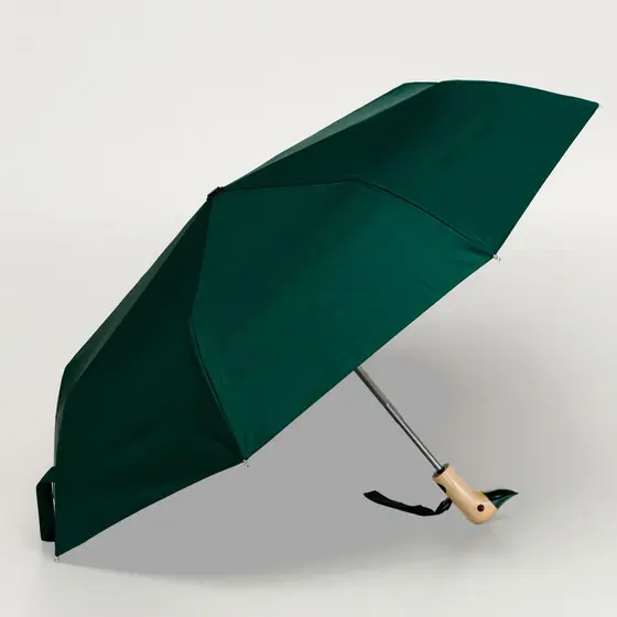 Original Duckhead Umbrella Forest Green
