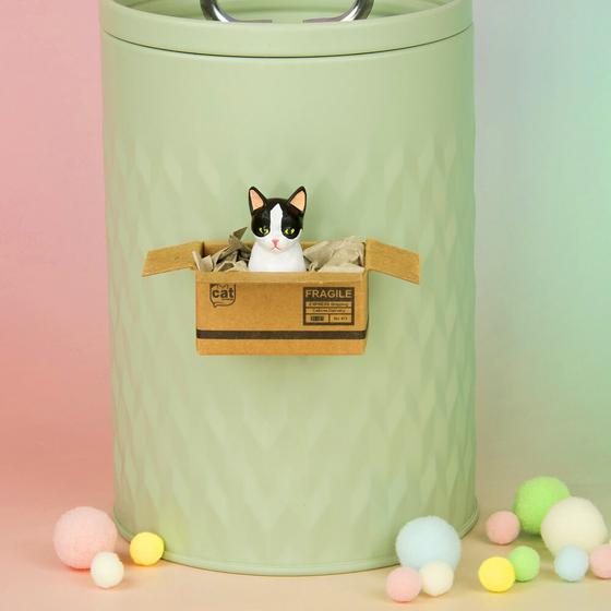 KATZENMUDDI Katze im Karton Magnet - schwarz weiß