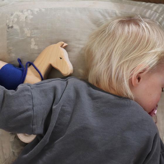 Grimm's Pferd Holly Natur