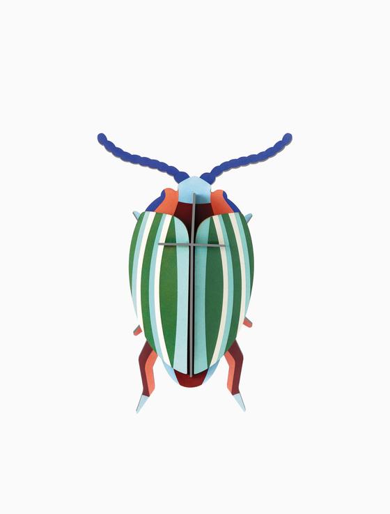 Studio Roof Rainbow Leaf Beetle