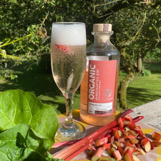 Mosgaard Organic Rhubarb Gin 38% vol  (0.5L)