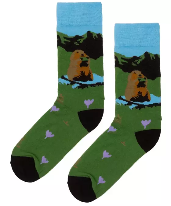 Organic Socken Murmeltier