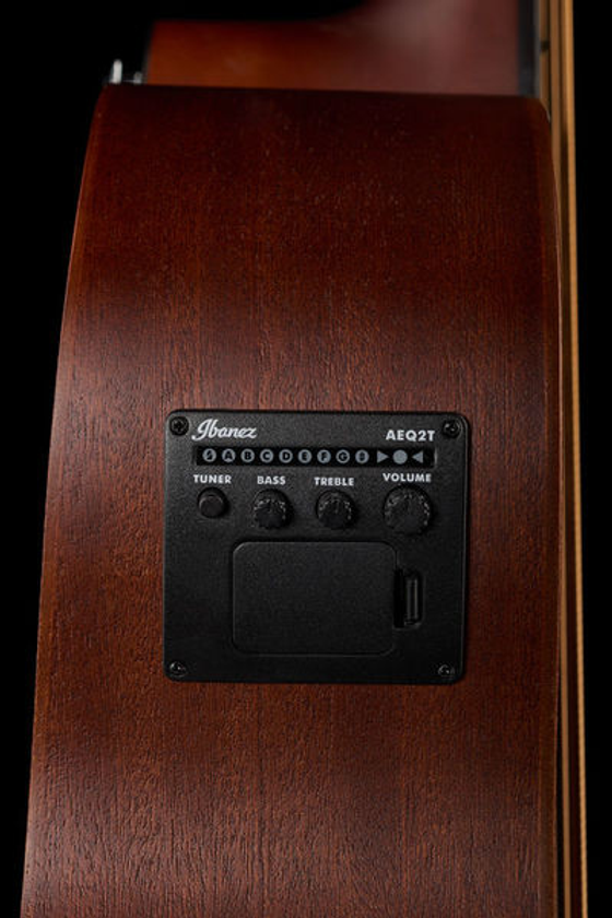 Ibanez Akustik Bass