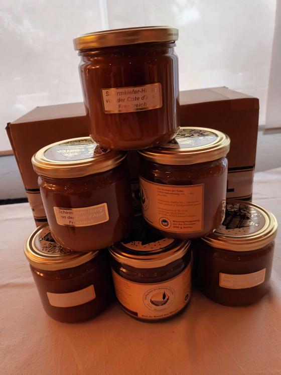 6 x 500 g Schirmkieferhonig vom Golf de Saint Tropez
