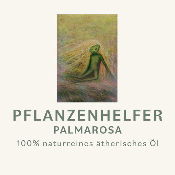 Palmarosa Pflanzenhelfer