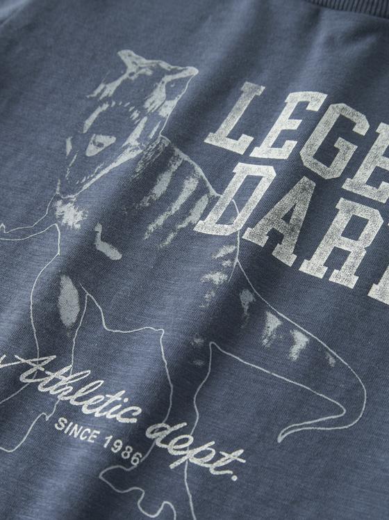 Name It T-Shirt Dinosaur Legendary Vintage Indigo