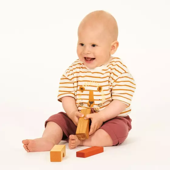 Sense Organics T-Shirt Anton Lion Curry Stripes