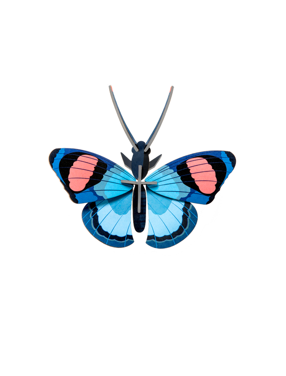 Studio Roof Peacock Butterfly