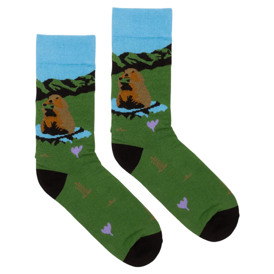 Organic Socken Murmeltier