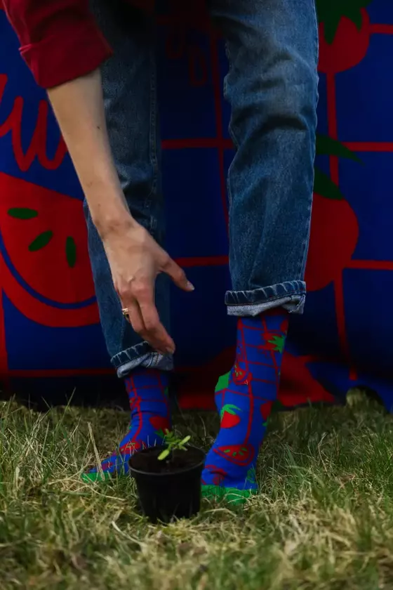 Organic Socken Tomaten