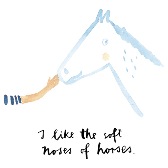 Silke Schmidt, Postkarte Soft Noses