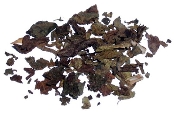Patchoulikraut