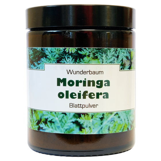 Moringa oleifera Blattpulver
