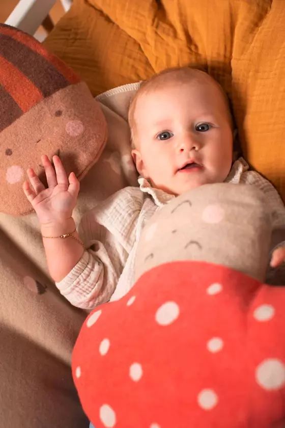 David Fussenegger Körnerkissen Eichel