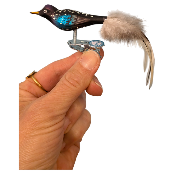 Glas Vogel Star aus Thüringen