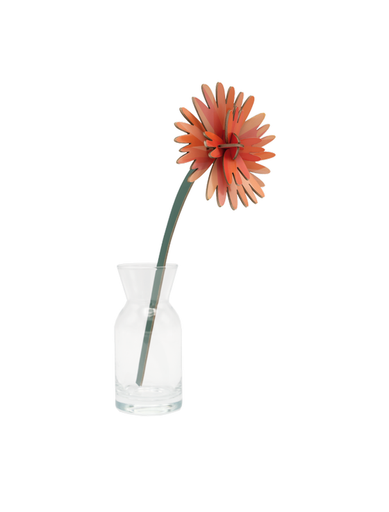 Studio Roof Orange Dhalia