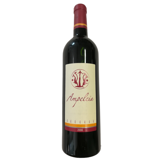 Rotwein | Rosso Toscana Ampeleia 2017 | Balthasar