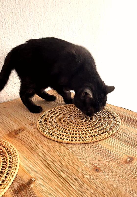 Tischset aus Rattan Lubang