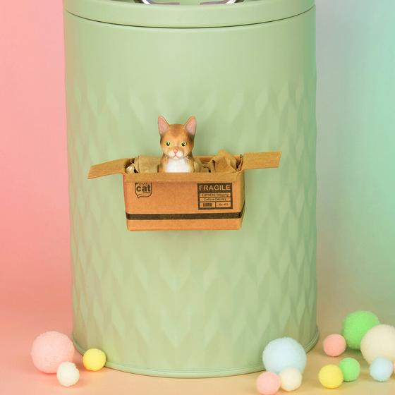 KATZENMUDDI Katze im Karton Magnet - braun getigert