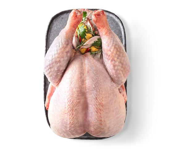  Freilandjungpute mit Hals und Innereien