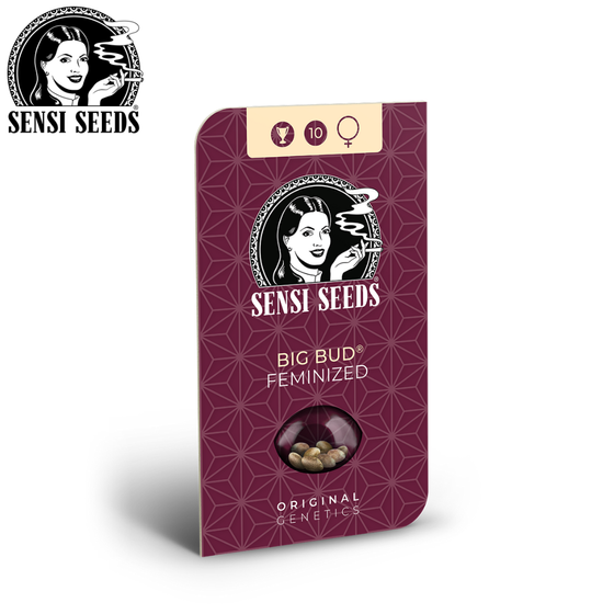 Samen, Sensi Seeds®, Big Bud