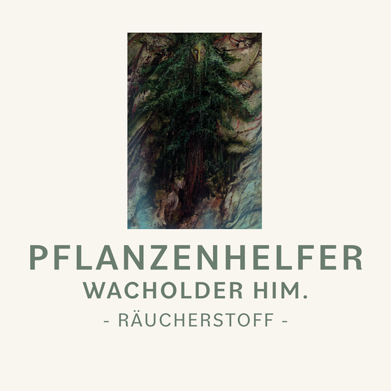 Himalaya Wacholder Pflanzenhelfer