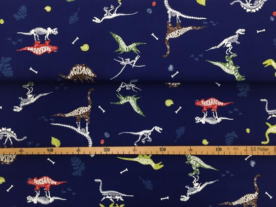 Cosmo Kids Land IX Dinos