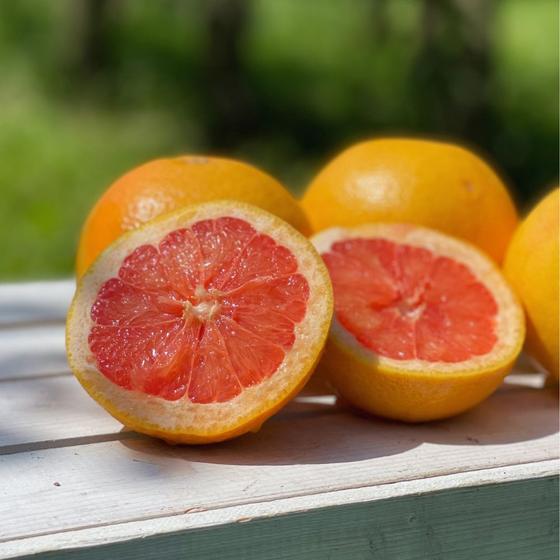 Grapefruit Ruby Red 12 Stk.
