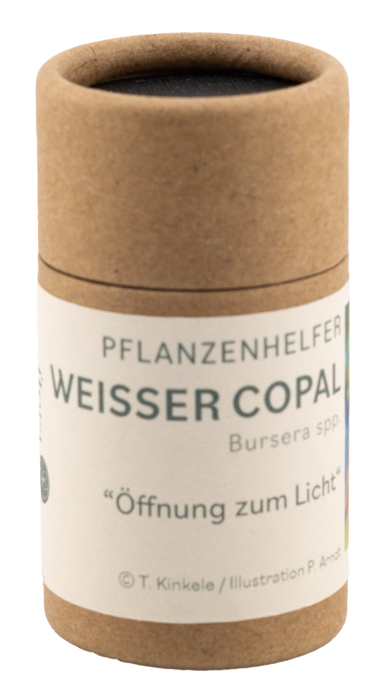 Weißer Copal Pflanzenhelfer