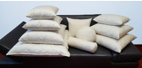 Kissen |  Inlett / Kissenfüllung Feder - 40 x 40 