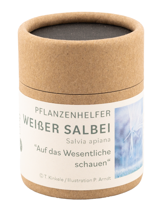 Weißer Salbei Pflanzenhelfer