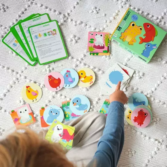Djeco Kartenspiel Für Kleine Little Select