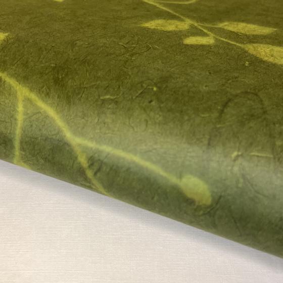 Daphne (Nepal), Solardruck Zweige