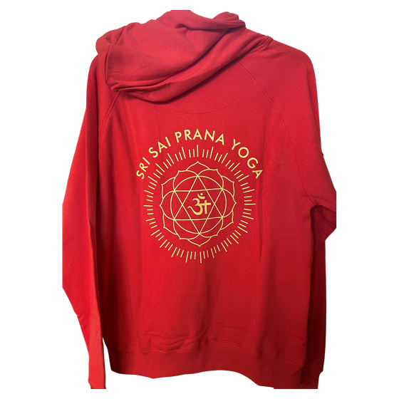 SSPY Sweatshirt / Hoodie